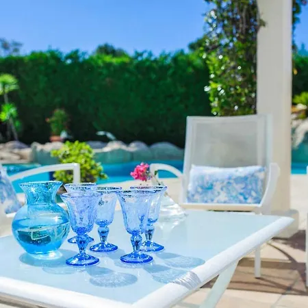 Piscina A Forma Libera Che Occupa Un Posto D'onore *