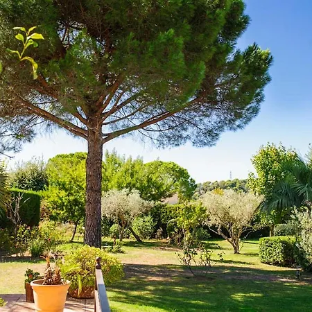 Piscina A Forma Libera Che Occupa Un Posto D'onore *